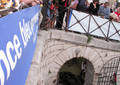 Curiosité morbide - Arles (2007)