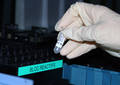 Bain-marie puis centrifugeuse pour révéler la double hélice - Labo ADN de la police scientifique, Marseille (2010)
