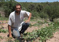 Laurent Fratello, agriculteur bio - Aubagne (2007)