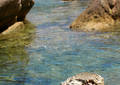 Plage de Portiollo - Corse du sud (2010)