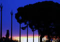 La nuit tombe sur l'année 2009 - Barcelona (2009)