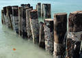 Sur la plage - Zanzibar (2008)