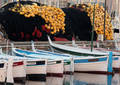 Filets - La Ciotat (2007)