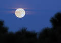 La lune se lève sur la nuit de la Saint Sylvestre 2010 - Barcelona (2009)