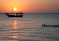 Nage au couchant - Zanzibar (2008)