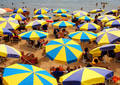 Lutte des places - Cannes (2006)